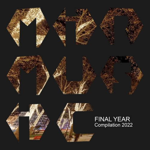 VA - Final Year Compilation 2022 [MIRM130]
